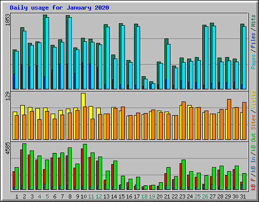 Daily usage for January 2020