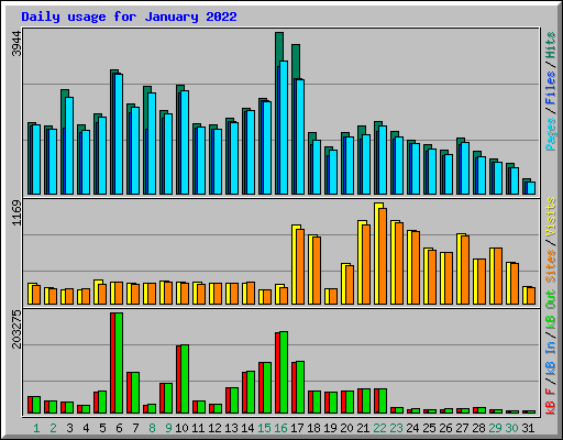 Daily usage for January 2022