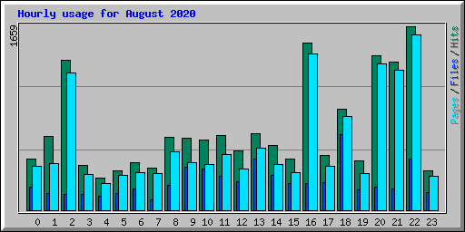 Hourly usage for August 2020