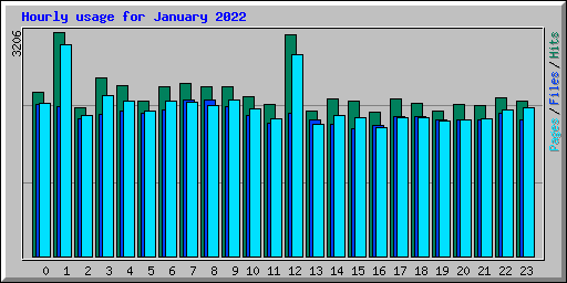 Hourly usage for January 2022