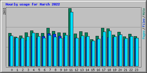 Hourly usage for March 2022