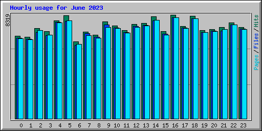 Hourly usage for June 2023