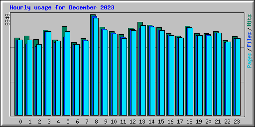 Hourly usage for December 2023