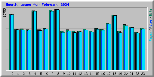 Hourly usage for February 2024