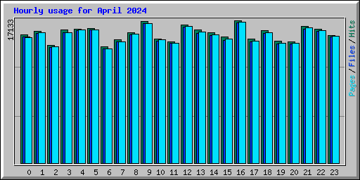 Hourly usage for April 2024