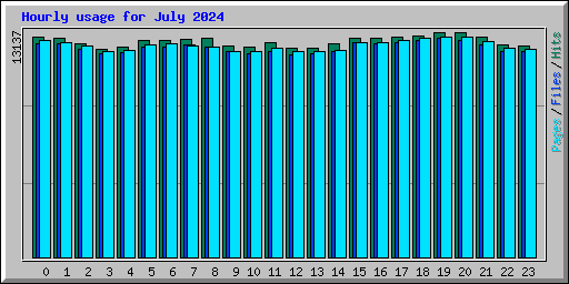 Hourly usage for July 2024