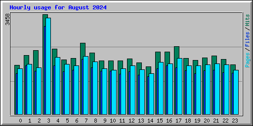 Hourly usage for August 2024