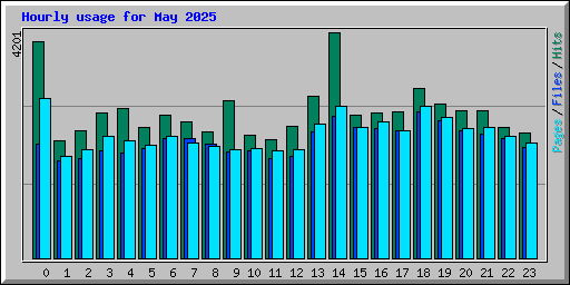 Hourly usage for May 2025