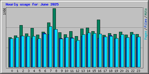 Hourly usage for June 2025