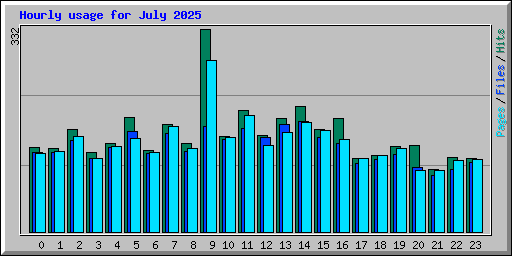 Hourly usage for July 2025
