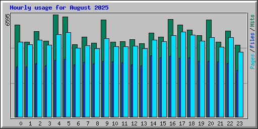 Hourly usage for August 2025