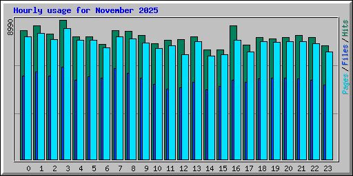 Hourly usage for November 2025