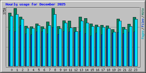 Hourly usage for December 2025