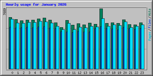 Hourly usage for January 2026