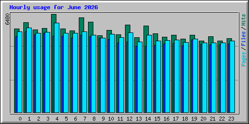 Hourly usage for June 2026