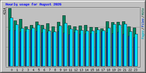 Hourly usage for August 2026